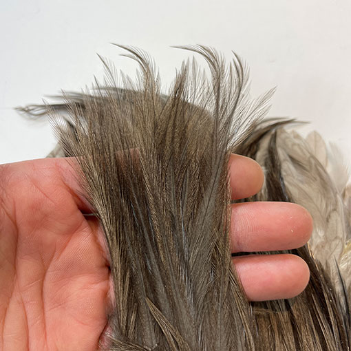 10%OFF ��åġ����å��ͥå����� ����No.3