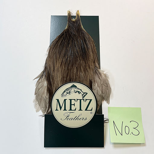 10%OFF ��åġ����å��ͥå����� ����No.3