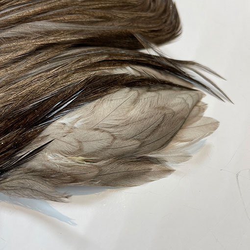 10%OFF ��åġ����å��ͥå����� ����No.3