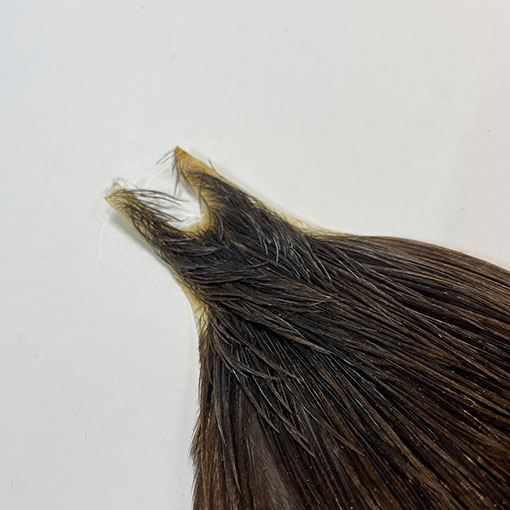 10%OFF ��åġ����å��ͥå����� ����No.3