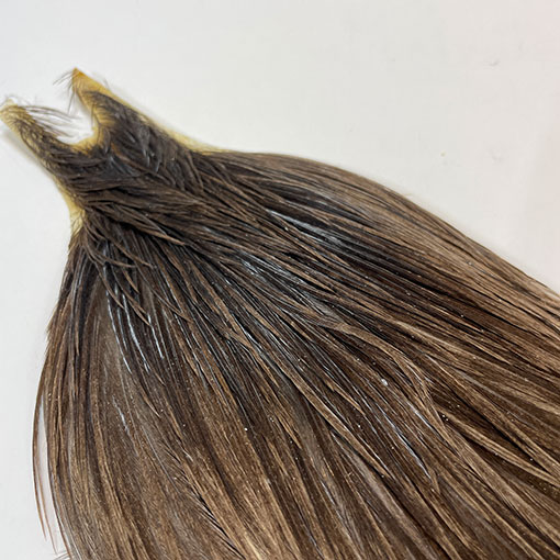 10%OFF ��åġ����å��ͥå����� ����No.3