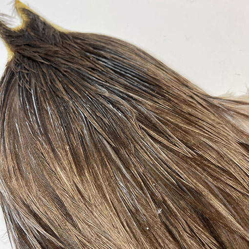 10%OFF ��åġ����å��ͥå����� ����No.3