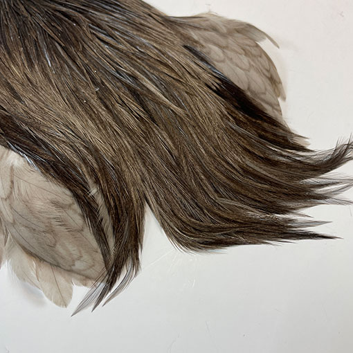 10%OFF ��åġ����å��ͥå����� ����No.3