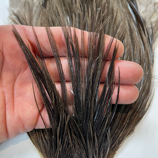 10%OFF ��åġ����å��ͥå����� ����No.3