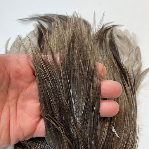 10%OFF ��åġ����å��ͥå����� ����No.3