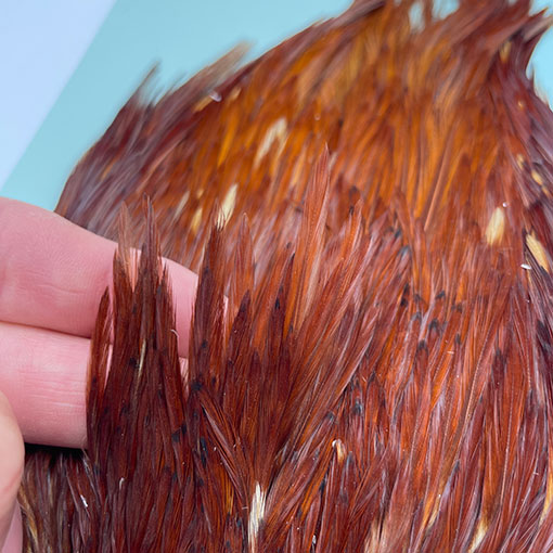 KEN-CUBE�ҡ�����ǥ����󥱡��� FOR WING