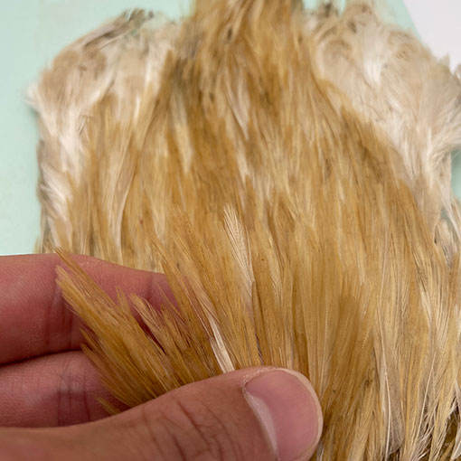 KEN-CUBE�ҡ�����ǥ����󥱡��� FOR WING