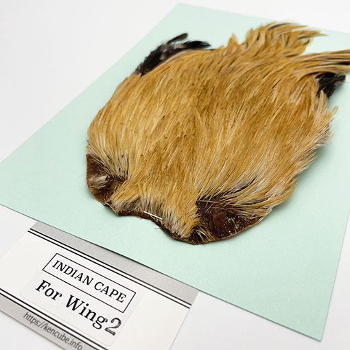 KEN-CUBE�ҡ�����ǥ����󥱡��� FOR WING