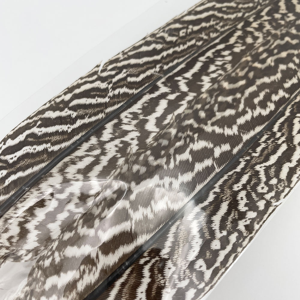 CANAL社 スペックルドフェザントテール（6000円グレード）