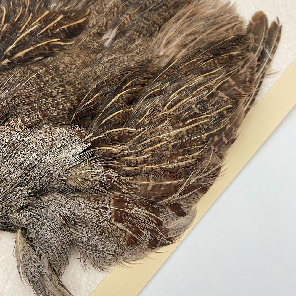 ϥ󥬥ꥢѡȥåץ꡼ȥ SAɥ֥饦 NO.1