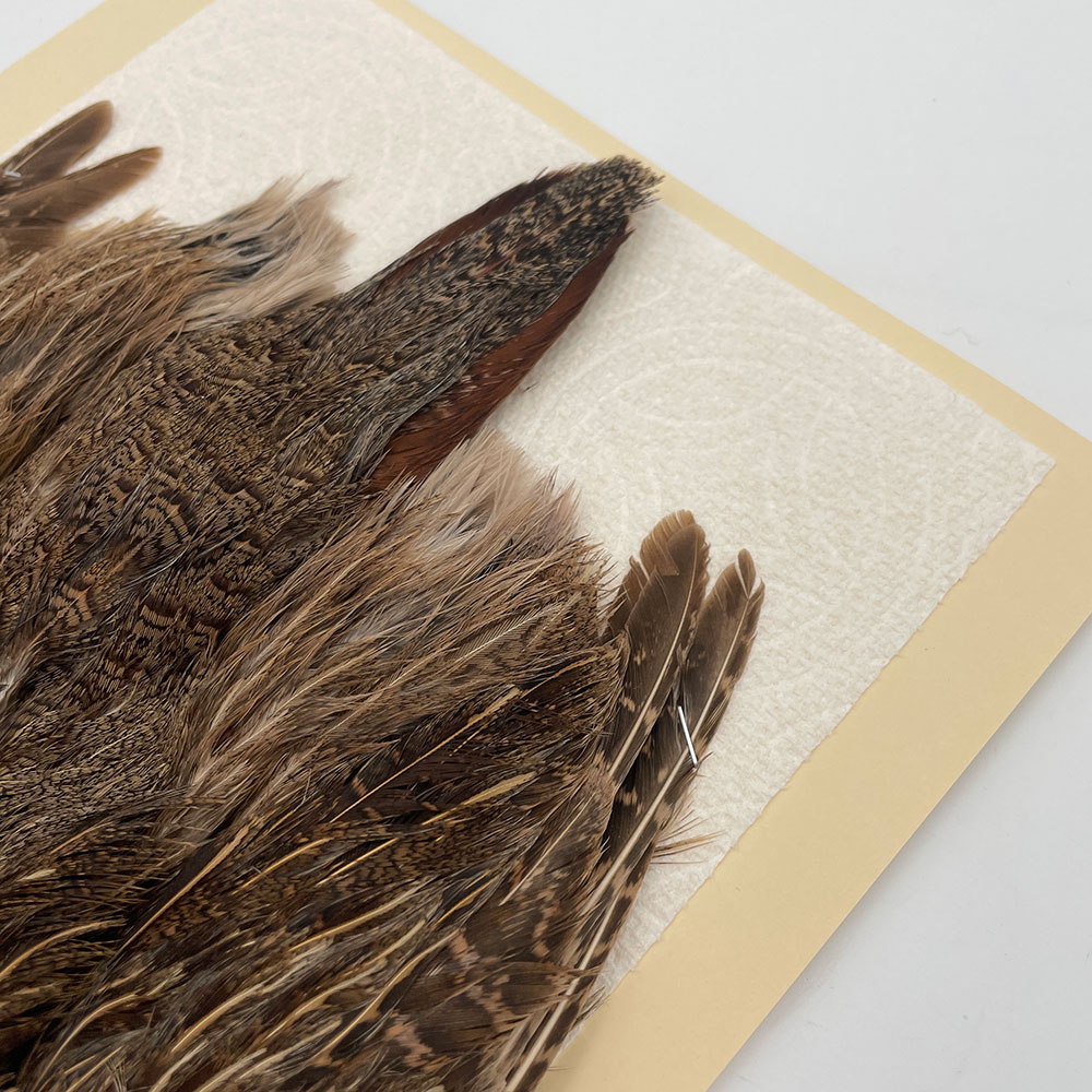 ϥ󥬥ꥢѡȥåץ꡼ȥ SAɥ֥饦 NO.1