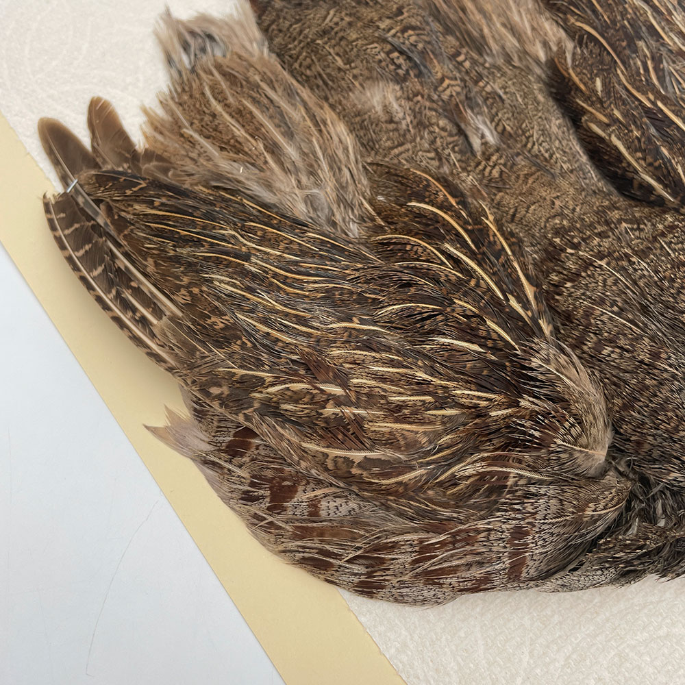 ϥ󥬥ꥢѡȥåץ꡼ȥ SAɥ֥饦 NO.1