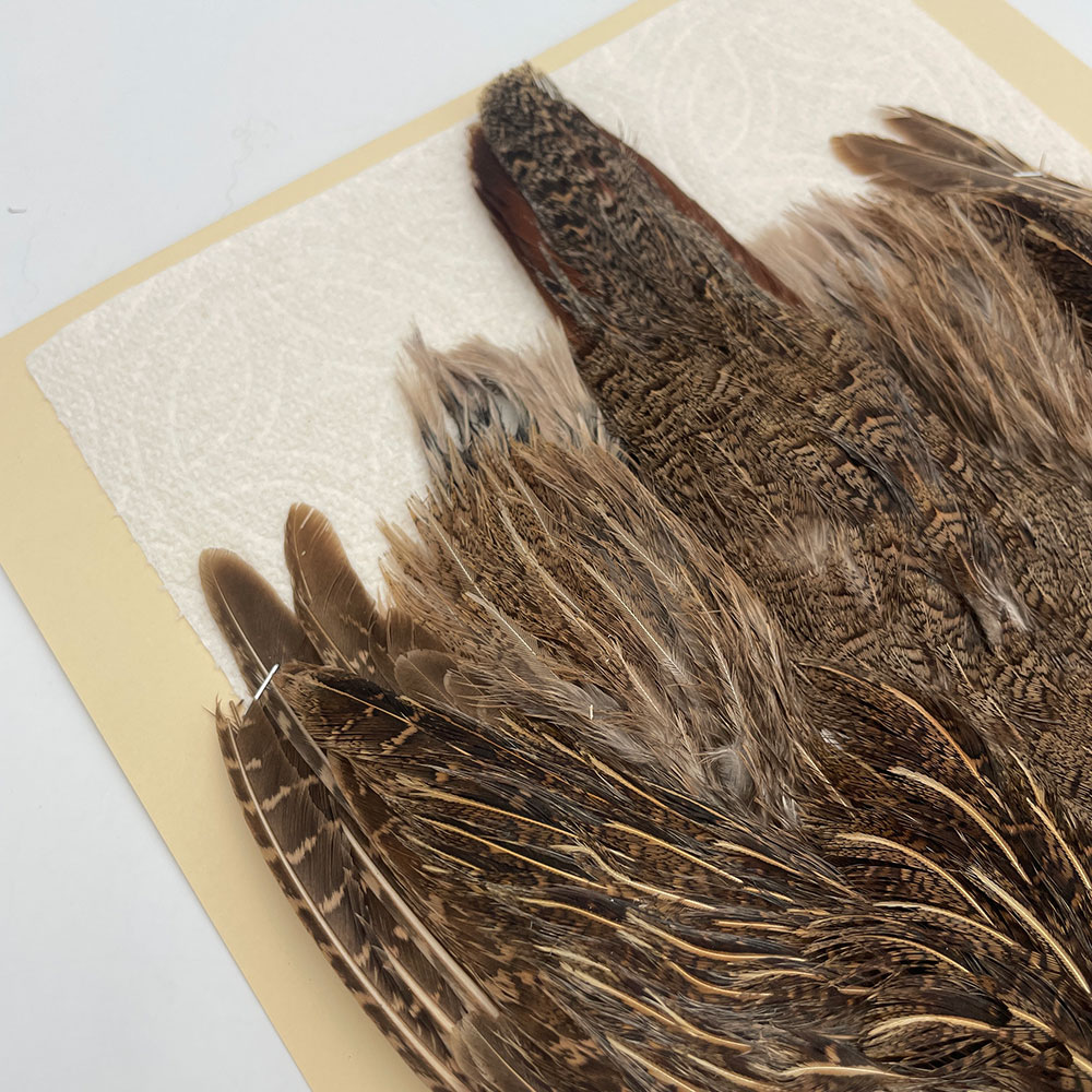 ϥ󥬥ꥢѡȥåץ꡼ȥ SAɥ֥饦 NO.1