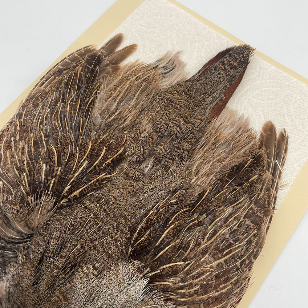 ϥ󥬥ꥢѡȥåץ꡼ȥ SAɥ֥饦 NO.1