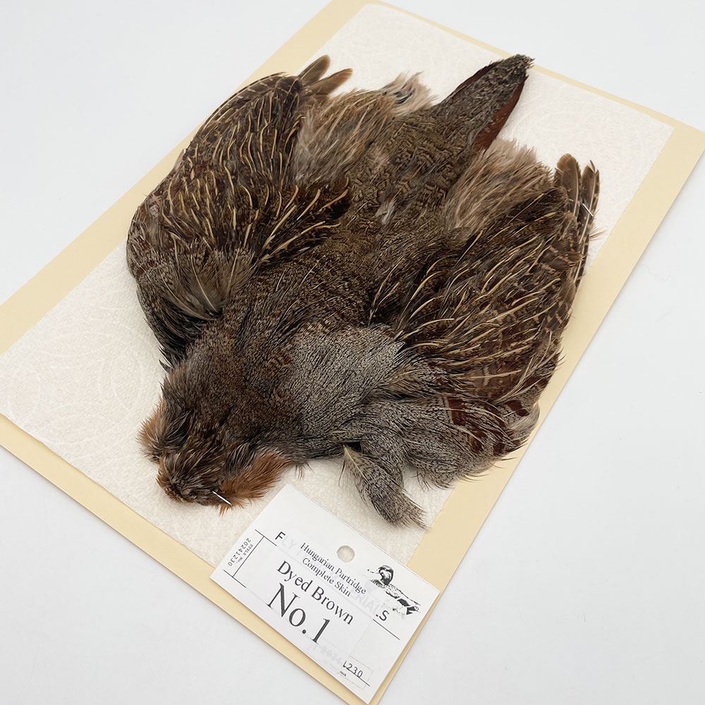 ϥ󥬥ꥢѡȥåץ꡼ȥ SAɥ֥饦 NO.1