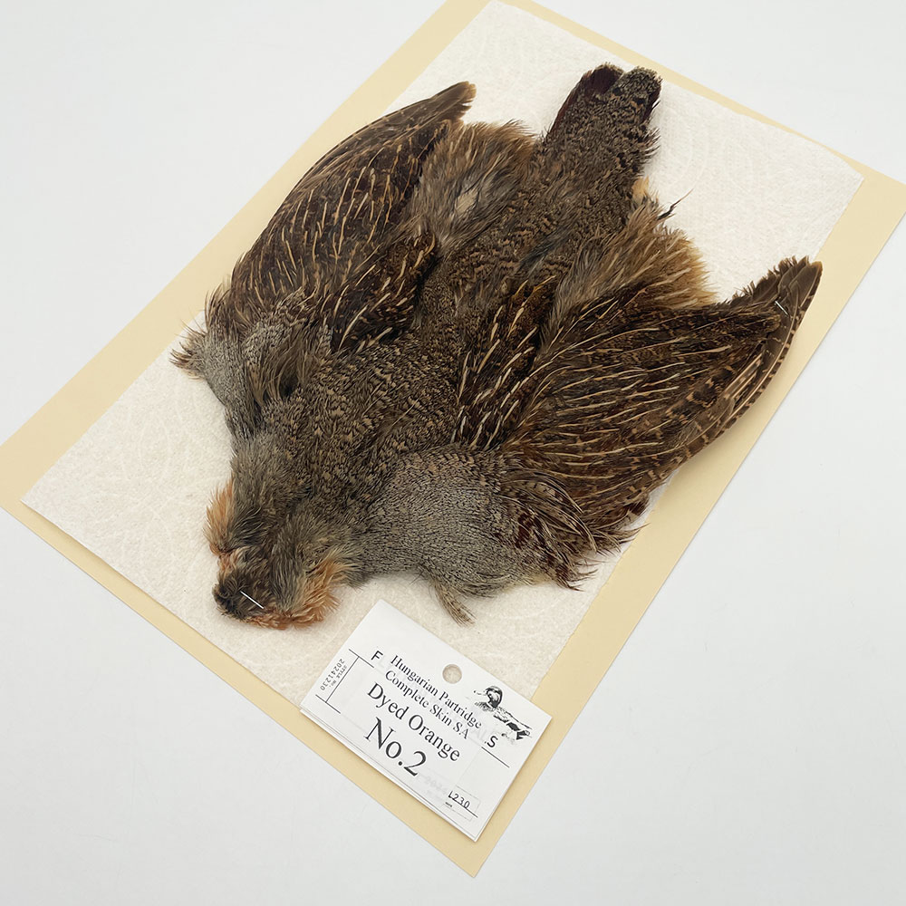 ϥ󥬥ꥢѡȥåץ꡼ȥ SAɥ NO.2