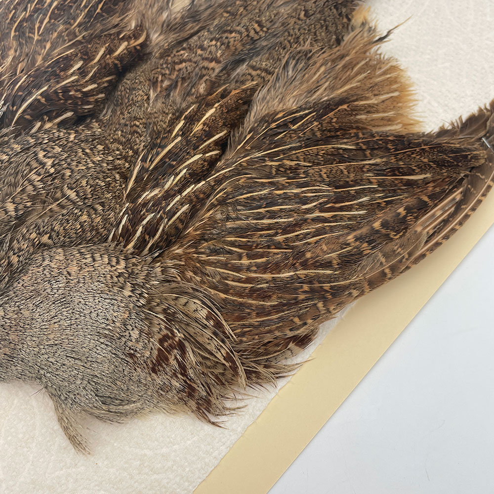 ϥ󥬥ꥢѡȥåץ꡼ȥ SAɥ NO.2