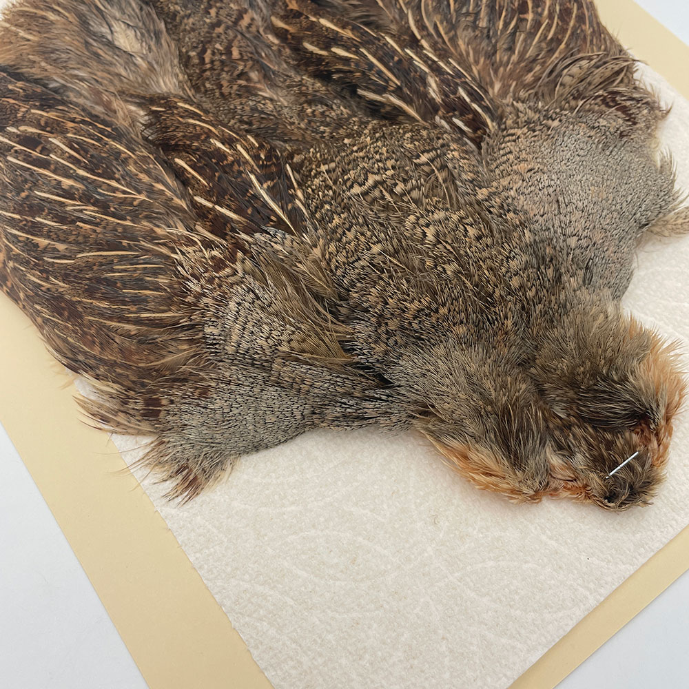 ϥ󥬥ꥢѡȥåץ꡼ȥ SAɥ NO.2