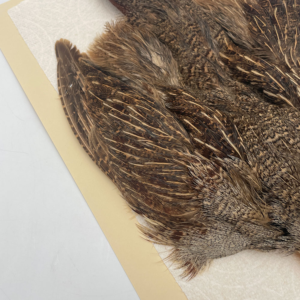 ϥ󥬥ꥢѡȥåץ꡼ȥ SAɥ NO.2