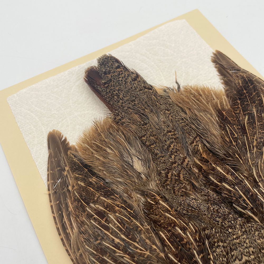 ϥ󥬥ꥢѡȥåץ꡼ȥ SAɥ NO.2