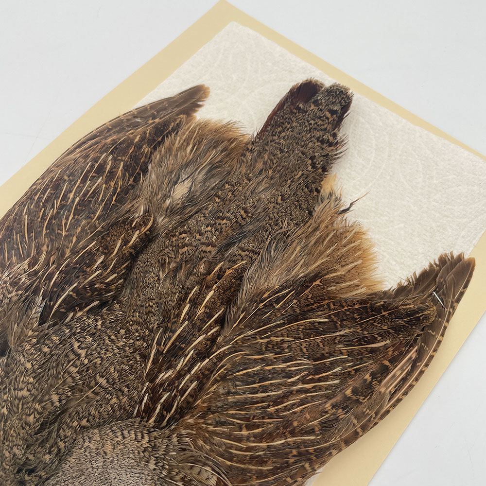 ϥ󥬥ꥢѡȥåץ꡼ȥ SAɥ NO.2