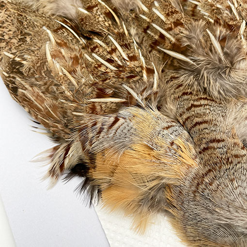 CANALҡ㥤ˡѡȥåʥץ꡼ȥ1CN120