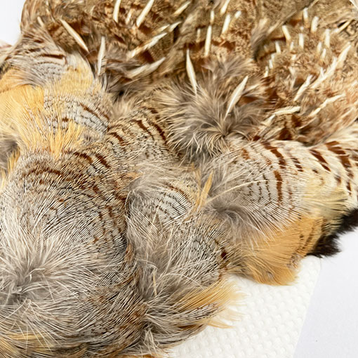 CANALҡ㥤ˡѡȥåʥץ꡼ȥ1CN120