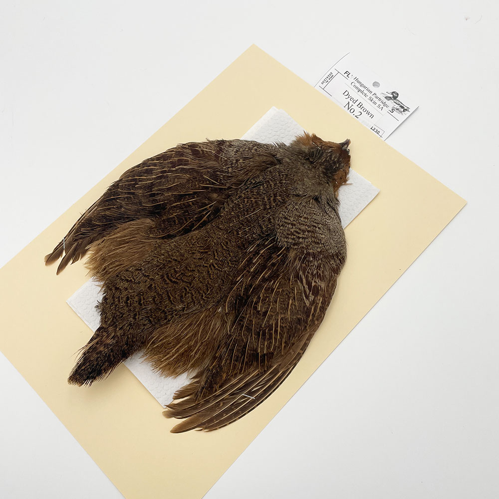 ϥ󥬥ꥢѡȥåץ꡼ȥ SAɥ֥饦 NO.2