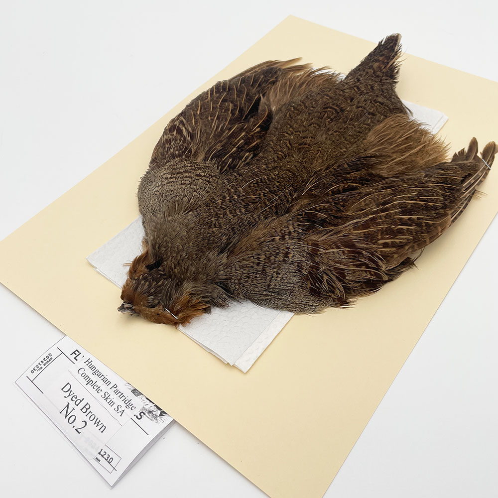 ϥ󥬥ꥢѡȥåץ꡼ȥ SAɥ֥饦 NO.2