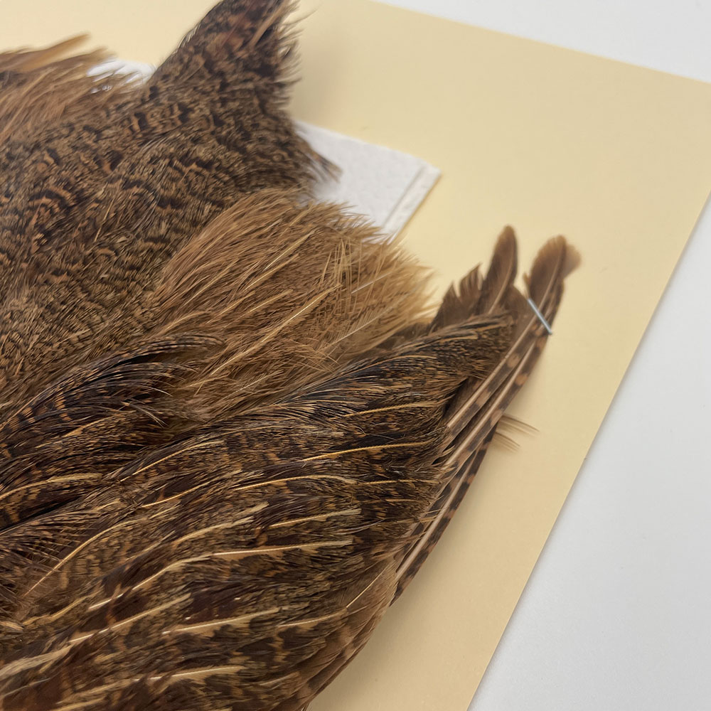 ϥ󥬥ꥢѡȥåץ꡼ȥ SAɥ֥饦 NO.2