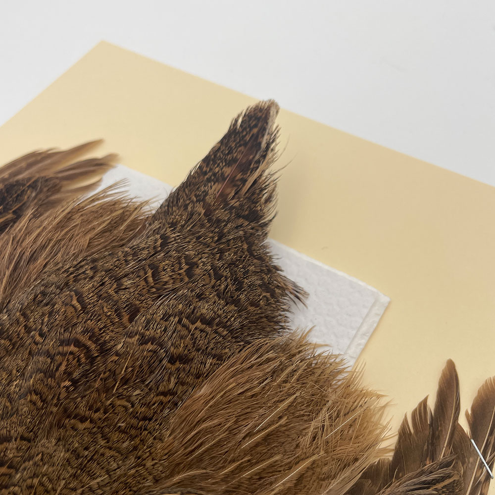 ϥ󥬥ꥢѡȥåץ꡼ȥ SAɥ֥饦 NO.2