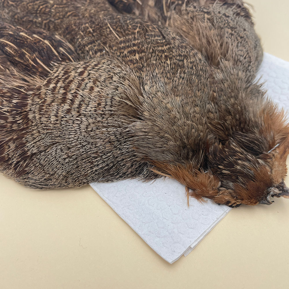 ϥ󥬥ꥢѡȥåץ꡼ȥ SAɥ֥饦 NO.2