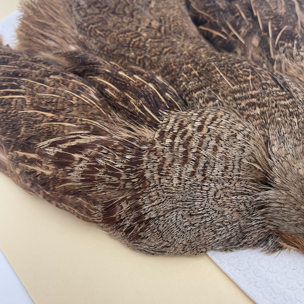 ϥ󥬥ꥢѡȥåץ꡼ȥ SAɥ֥饦 NO.2