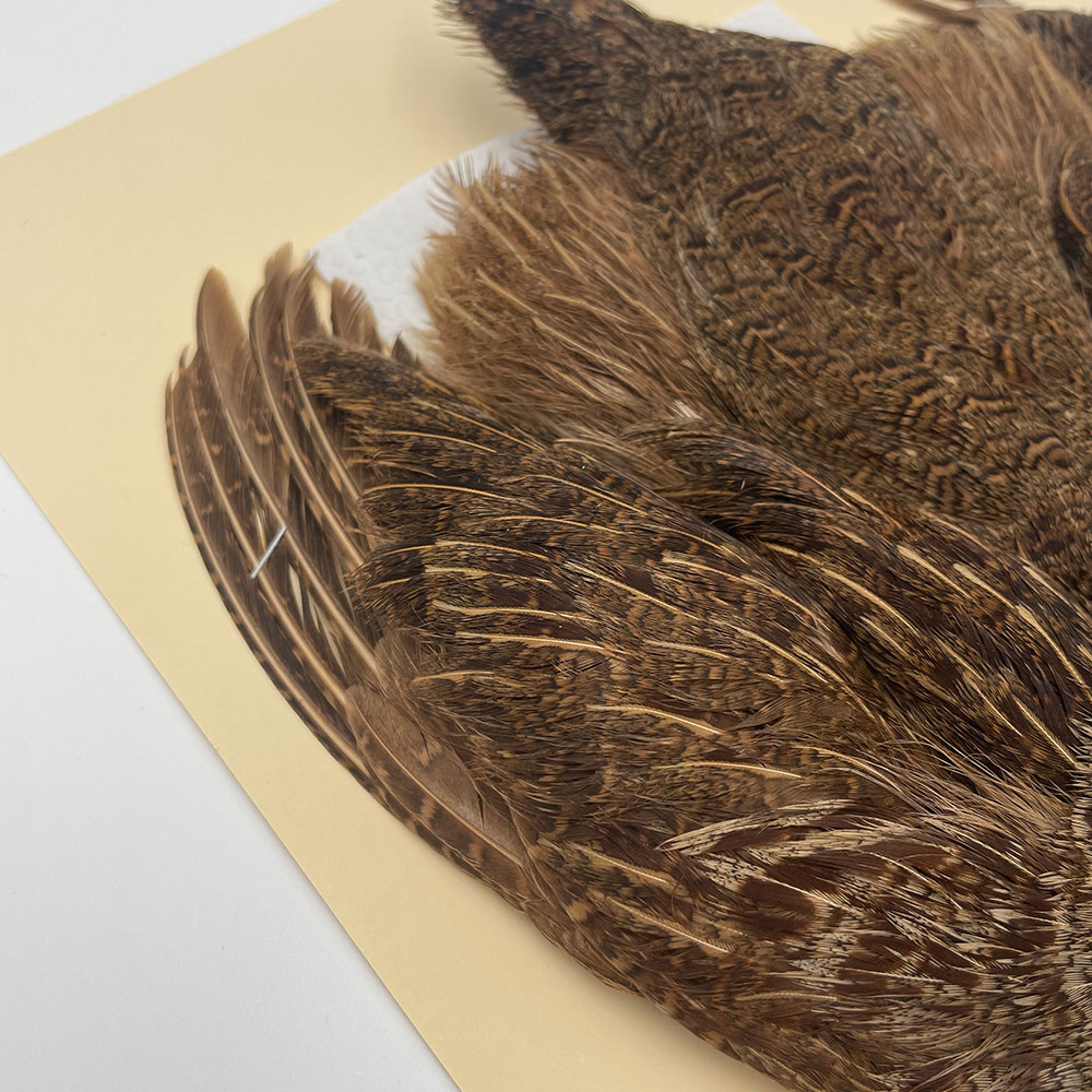 ϥ󥬥ꥢѡȥåץ꡼ȥ SAɥ֥饦 NO.2