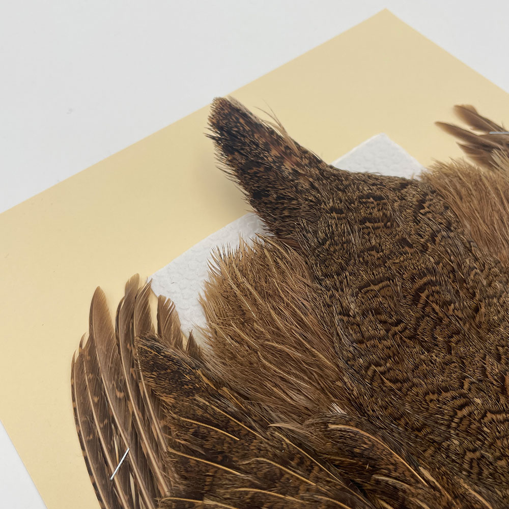 ϥ󥬥ꥢѡȥåץ꡼ȥ SAɥ֥饦 NO.2