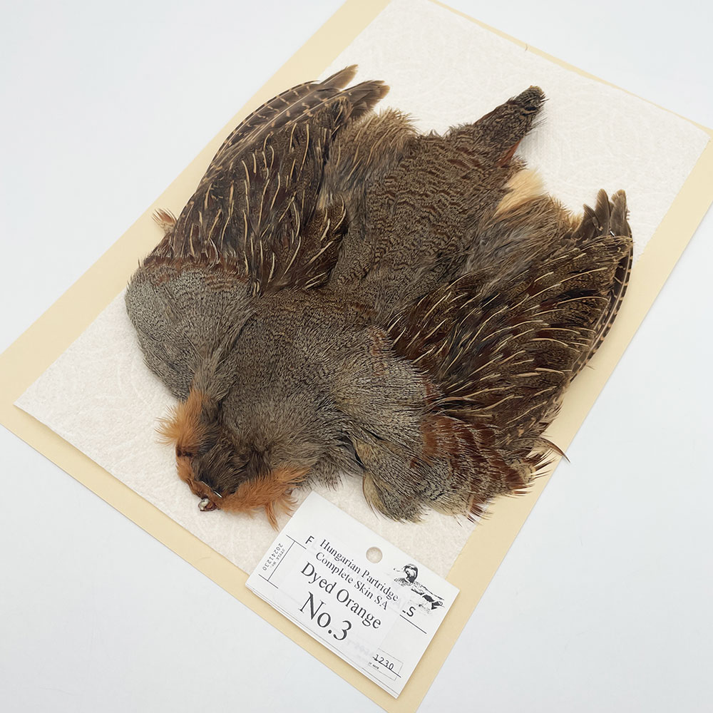 ϥ󥬥ꥢѡȥåץ꡼ȥ SAɥ NO.3