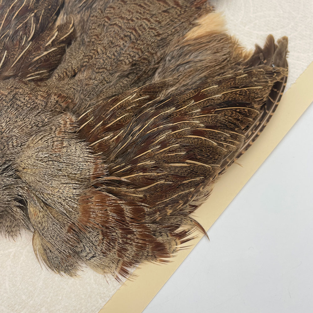 ϥ󥬥ꥢѡȥåץ꡼ȥ SAɥ NO.3