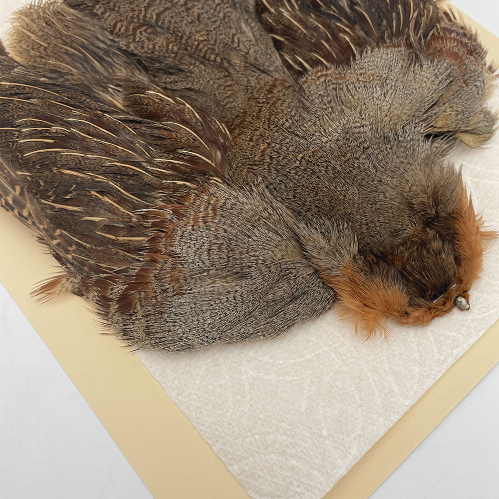 ϥ󥬥ꥢѡȥåץ꡼ȥ SAɥ NO.3