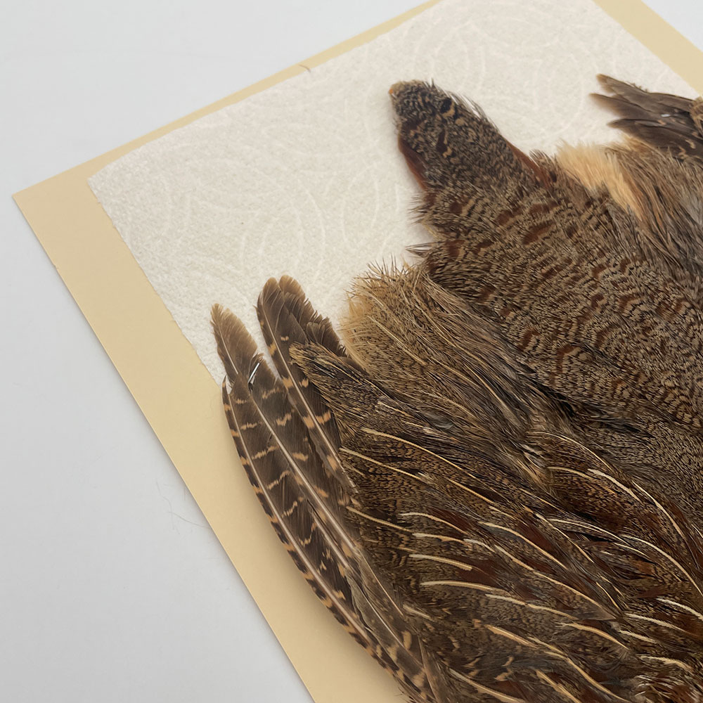 ϥ󥬥ꥢѡȥåץ꡼ȥ SAɥ NO.3