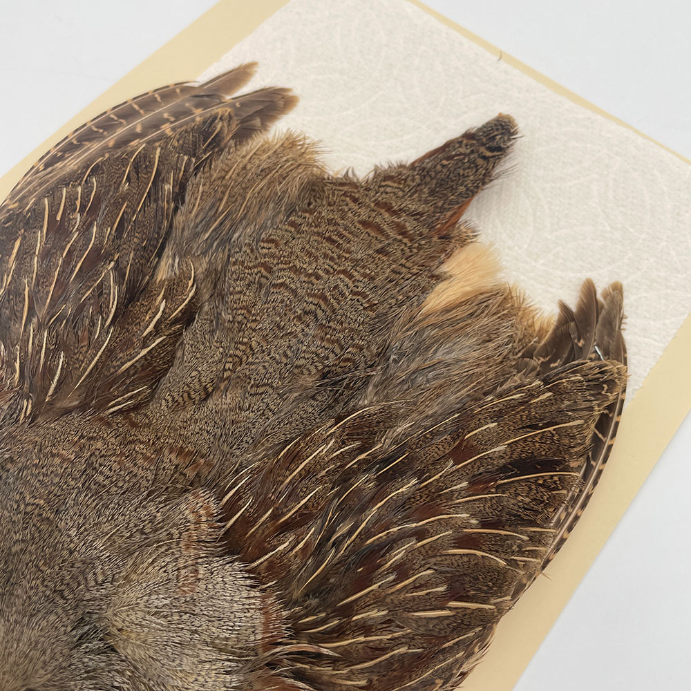 ϥ󥬥ꥢѡȥåץ꡼ȥ SAɥ NO.3