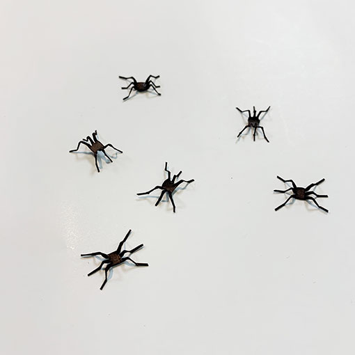 VANIA եե饤֥饦åʥåѡġˡ6ꡡ[VFBR]