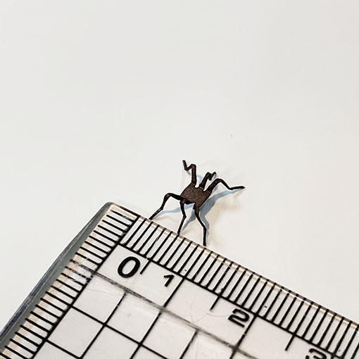 VANIA եե饤֥饦åʥåѡġˡ6ꡡ[VFBR]