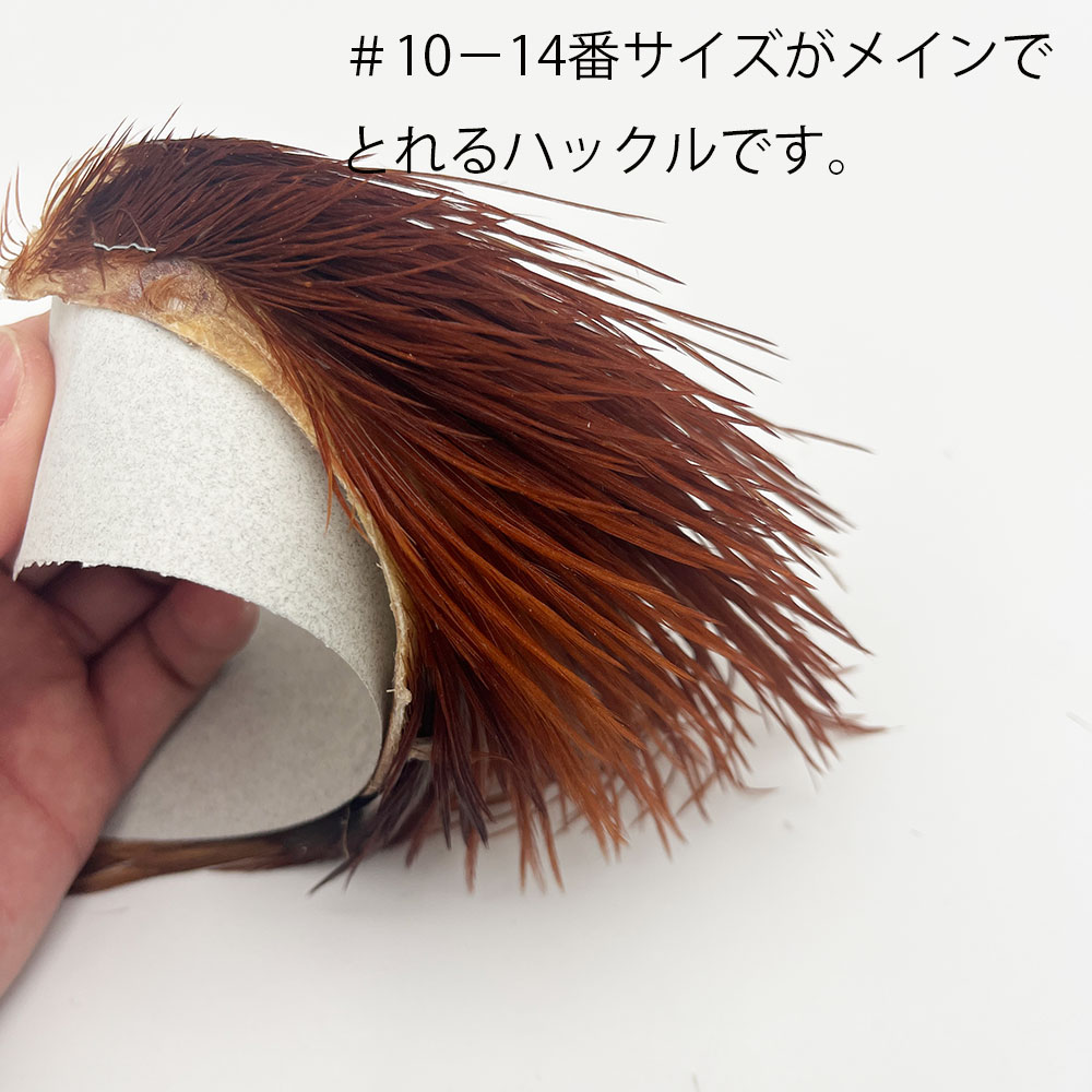 KEN-CUBE �ϡ��ե����סʥʥ����륫�顼�� MADE IN USA