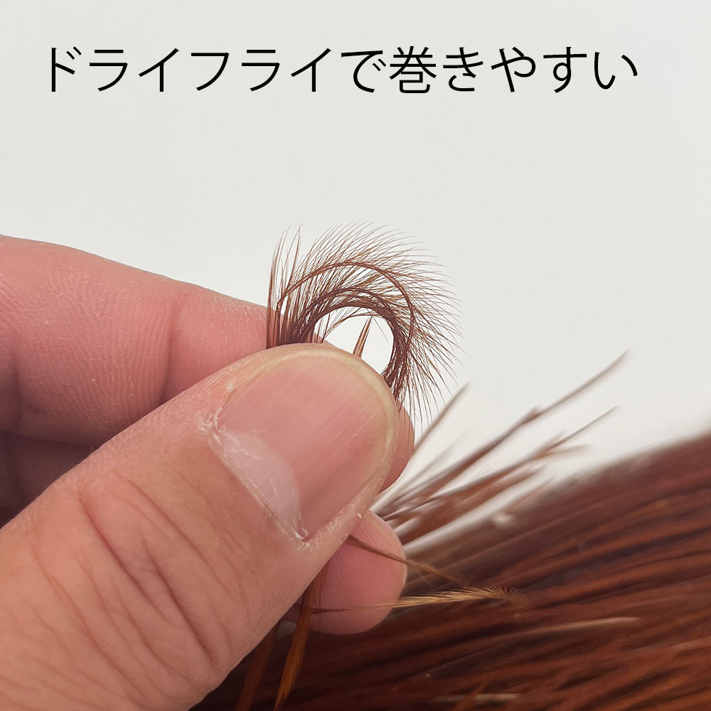 KEN-CUBE �ϡ��ե����סʥʥ����륫�顼�� MADE IN USA