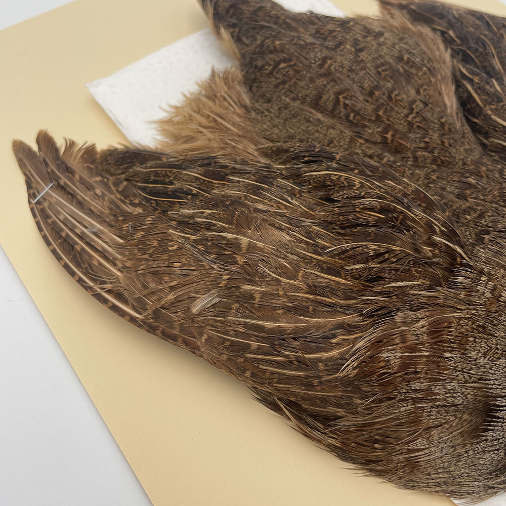 ϥ󥬥ꥢѡȥåץ꡼ȥ SAɥ֥饦 NO.3