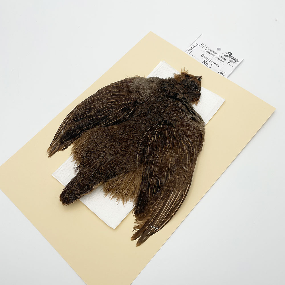 ϥ󥬥ꥢѡȥåץ꡼ȥ SAɥ֥饦 NO.3