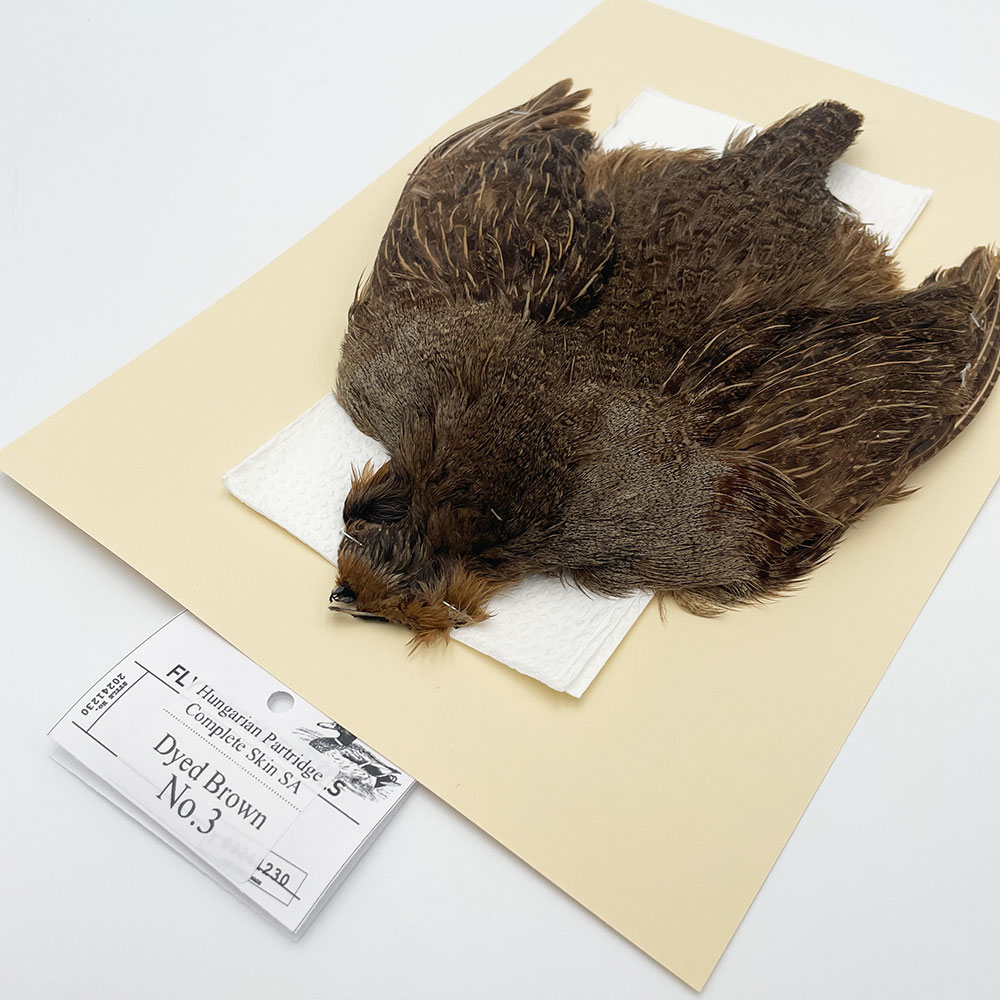 ϥ󥬥ꥢѡȥåץ꡼ȥ SAɥ֥饦 NO.3