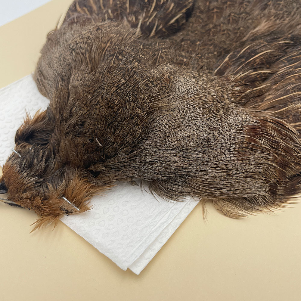 ϥ󥬥ꥢѡȥåץ꡼ȥ SAɥ֥饦 NO.3