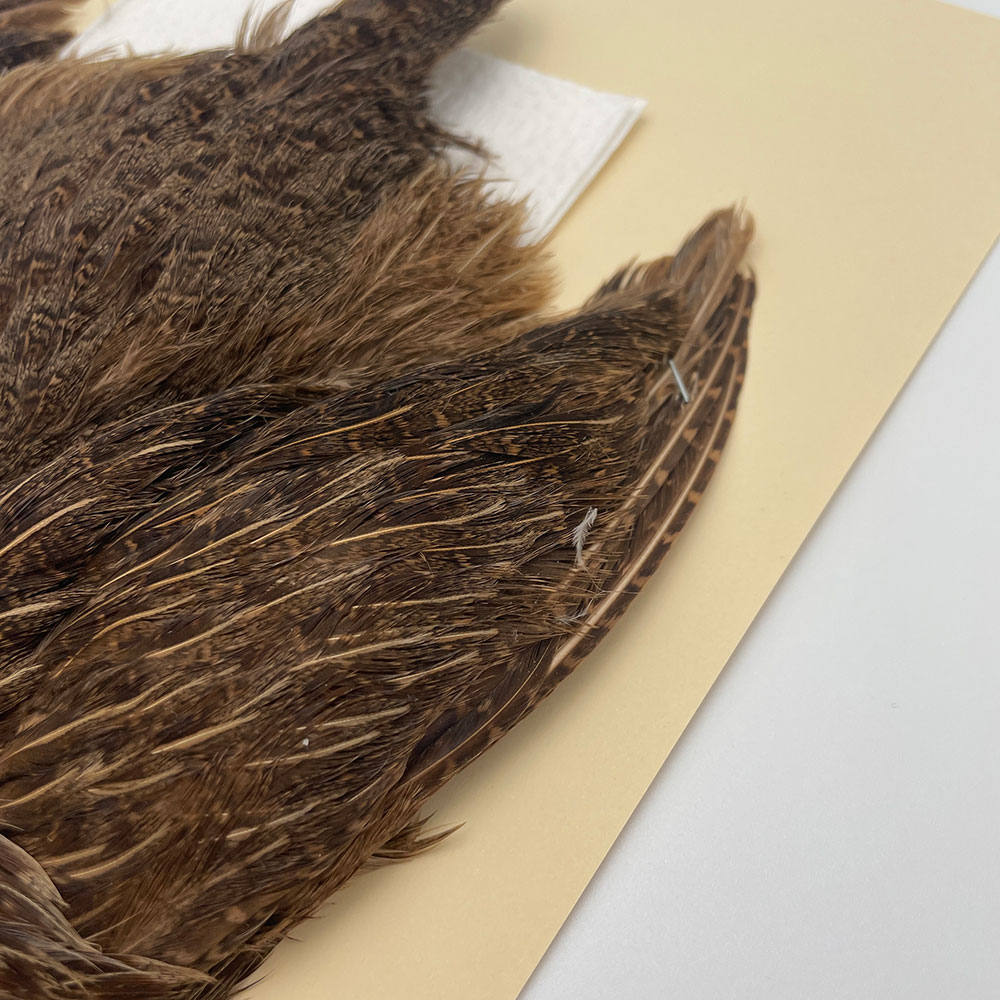 ϥ󥬥ꥢѡȥåץ꡼ȥ SAɥ֥饦 NO.3