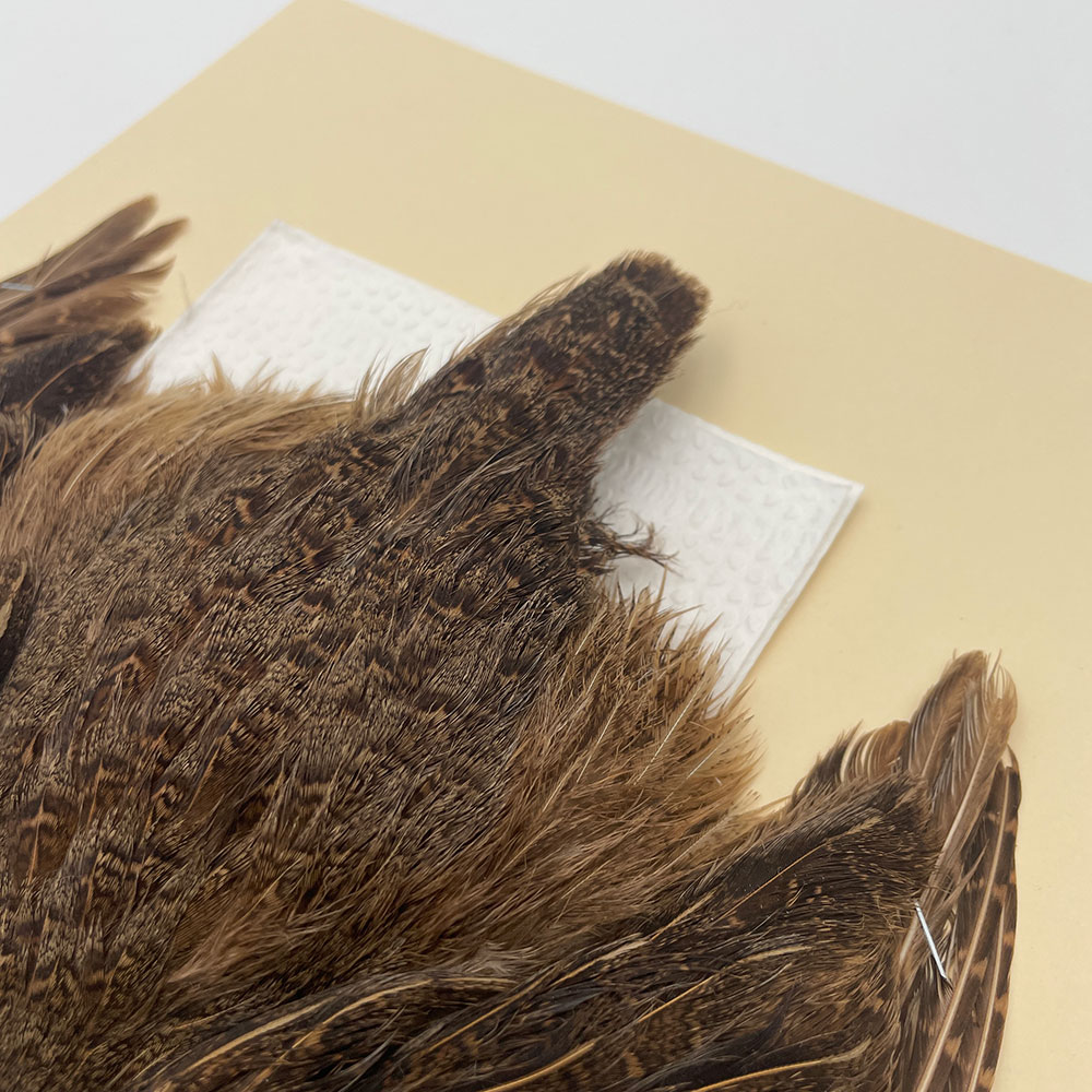 ϥ󥬥ꥢѡȥåץ꡼ȥ SAɥ֥饦 NO.3